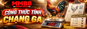 Cách cân và xác định chạng gà